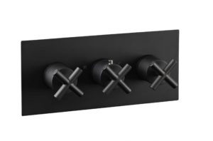 Solex thermostatic concealed 2 outlet shower valve, horizontal